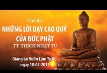 Những lời dạy cao quý của Đức Phật – Thích Nhật Từ nhung loi day cao quy cua duc ph