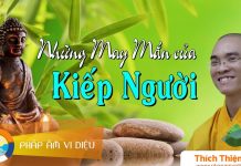 Những May Mắn Của Kiếp Người – Thích Thiện Tuệ nhung may man cua kiep nguoi thi