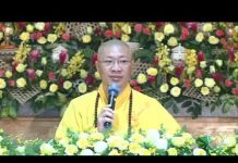 Những Mùa An Cư Của Đức Phật – Thích Thiện Thuận nhung mua an cu cua duc phat thi