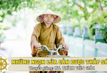 Những Ngọn Lửa Cần Được Thắp Sáng – Thích Viên Giác nhung ngon lua can duoc thap san