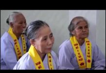 Những Sai Lầm Trong Đường Tu – Thích Trí Huệ nhung sai lam trong duong tu thi