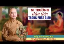 Ni Trưởng Đầu Tiên Trong Phật Giáo – Thích Pháp Hòa ni truong dau tien trong phat gi