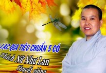 Niềm An Lạc Qua Tiêu Chuẩn 5 Có – Thích Nữ Như Lan niem an lac qua tieu chuan 5 co