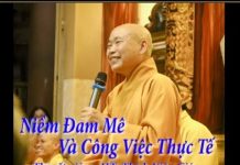 Niềm Đam Mê Và Công Việc Thực Tế – Thích Viên Giác niem dam me va cong viec thuc te