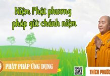 Niệm Phật – Phương Pháp Giữ Chánh Niệm – Thích Phước Tiến niem phat phuong phap giu chanh