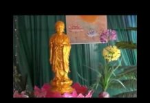Niệm Phật Sám Pháp – Thích Giác Hạnh niem phat sam phap thich giac ha