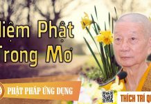 Niệm Phật Trong Mơ – Thích Trí Quảng niem phat trong mo thich tri qua