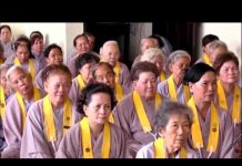 Niệm Phật Với Tâm Bồ Đề – Thích Trí Huệ niem phat voi tam bo de thich tr