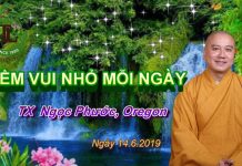 Niềm vui nhỏ mỗi ngày – Thích Pháp Hòa niem vui nho moi ngay thich phap