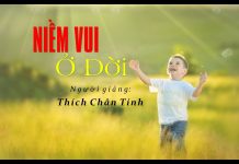 Niềm Vui Ở Đời – Thích Chân Tính niem vui o doi thich chan tinh 1