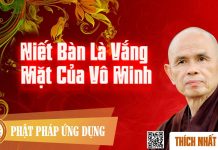 Niết Bàn Là Vắng Mặt Của Vô Minh – Thích Nhất Hạnh niet ban la vang mat cua vo minh