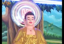 Niết Bàn Trong Hiện Tại – Thích Thiện Bình niet ban trong hien tai thich th
