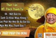 Niết Bàn & Vô Sanh Có Khác Không, Vì Sao Nhờ Đề Bà Đạt Đa Phật Mới Thành Đạo Tham vấn HT Thanh Từ 44 niet ban vo sanh co khac khong v