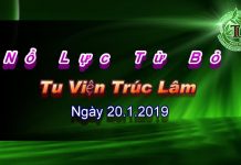 Nỗ lực từ bỏ – Thích Pháp Hòa no luc tu bo thich phap hoa