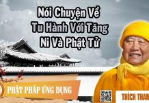 Nói Chuyện Về Tu Hành Với Tăng Ni Và Phật Tử – Thích Thanh Từ noi chuyen ve tu hanh voi tang n