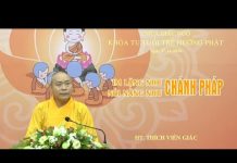 Nói Năng Như Chánh Pháp, Im Lặng Như Thiền Định – Thích Viên Giác noi nang nhu chanh phap im lang