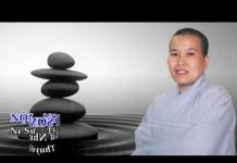 Nội – Ngoại Song Tu – Thích Nữ Như Lan noi ngoai song tu thich nu nhu l