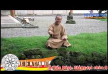Nỗi Oan Thì Là Mà (Vấn Đáp) Full – Thích Nhật Từ noi oan thi la ma van dap full t