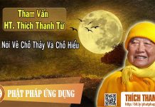 Nói Về Chỗ Thấy Và Chỗ Hiểu – Tham vấn HT Thích Thanh Từ 48 noi ve cho thay va cho hieu tham