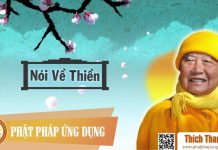 Nói Về Thiền – Thích Thanh Từ noi ve thien thich thanh tu