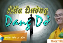 Nửa Đường Dang Dở – Thích Thiện Tuệ nua duong dang do thich thien tu