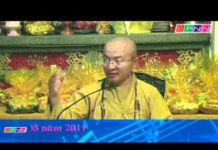 Núi cả sông nguồn – Thích Nhật Từ nui ca song nguon thich nhat tu