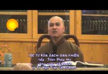 Nước Từ Rửa Sạch Oan Khiên 13 – Thích Pháp Hòa nuoc tu rua sach oan khien 13 th