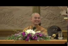 Nước Từ Rửa Sạch Oan Khiên 2 – Thích Pháp Hòa nuoc tu rua sach oan khien 2 thi