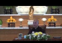 Nước Từ Rửa Sạch Oan Khiên 20 – Thích Pháp Hòa nuoc tu rua sach oan khien 20 th
