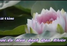 Nước Từ Rửa Sạch Oan Khiên 32 – Thích Pháp Hòa nuoc tu rua sach oan khien 32 th