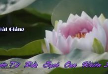 Nước Từ Rửa Sạch Oan Khiên 33 – Thích Pháp Hòa nuoc tu rua sach oan khien 33 th