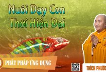 Nuôi Dạy Con Thời Hiện Đại (KT07) – Thích Phước Tiến nuoi day con thoi hien dai kt07
