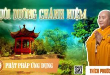 Nuôi Dưỡng Chánh Niệm – Thích Phước Tiến nuoi duong chanh niem thich phuo 1