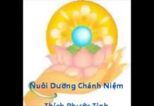Nuôi Dưỡng Chánh Niệm – Thích Phước Tịnh nuoi duong chanh niem thich phuo