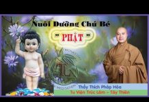 Nuôi Dưỡng Chú Bé “Phật” – Thích Pháp Hòa nuoi duong chu be phat thich pha