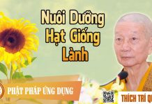 Nuôi Dưỡng Hạt Giống Lành – Thích Trí Quảng nuoi duong hat giong lanh thich 2