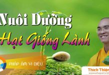 Nuôi Dưỡng Hạt Giống Lành – Thích Thiện Tuệ nuoi duong hat giong lanh thich