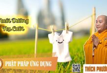 Nuôi Dưỡng Nụ Cười (KT88) – Thích Phước Tiến nuoi duong nu cuoi kt88 thich ph