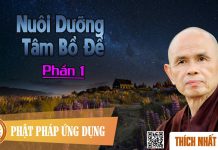 Nuôi Dưỡng Tâm Bồ Đề 1/2 – Thích Nhất Hạnh nuoi duong tam bo de 1 2 thich n