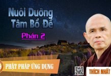 Nuôi Dưỡng Tâm Bồ Đề 2/2 – Thích Nhất Hạnh nuoi duong tam bo de 2 2 thich n