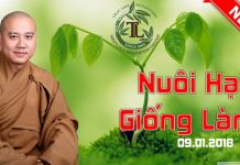 Nuôi Hạt Giống Lành – Thích Pháp Hòa nuoi hat giong lanh thich phap h