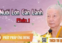 Nuôi Lớn Căn Lành phần 1 – Thích Trí Quảng nuoi lon can lanh phan 1 thich t