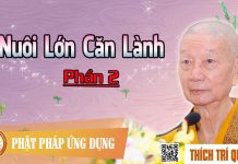 Nuôi Lớn Căn Lành phần 2 – Thích Trí Quảng nuoi lon can lanh phan 2 thich t