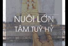 Nuôi lớn tâm tùy hỷ – Thích Nhật Từ nuoi lon tam tuy hy thich nhat t