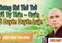 Nương Hơi Thở Trở Về Tự Thân – Quán Sở Duyên Duyên Luận – Thích Nhất Hạnh nuong hoi tho tro ve tu than qua