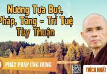 Nương Tựa Bụt, Pháp, Tăng – Trí Tuệ Tùy Thuận – Thích Nhất Hạnh nuong tua but phap tang tri tue