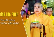 Nương Tựa Pháp – Thích Viên Giác nuong tua phap thich vien giac