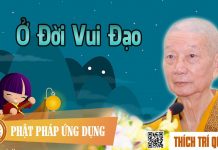 Ở Đời Vui Đạo – Thích Trí Quảng o doi vui dao thich tri quang
