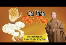 Oai Thần Phật Pháp – Thích Pháp Hòa oai than phat phap thich phap ho