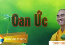 Oan Ức – Thích Thiện Tuệ oan uc thich thien tue